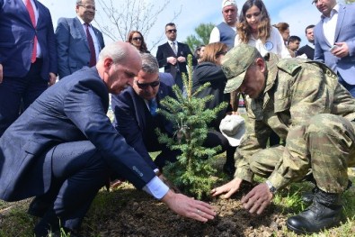 Manisalı Şehit Ve Gazi 352 Kişi İçin Fidan Dikildi