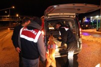 Sivas'ta Jandarma Ve Polis Ekipleri Yol Kontrollerini Sürdürüyor