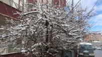 ÇIĞ DÜŞMESİ - Van'da Karla Mücadele Çalışmaları
