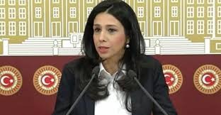 CHP'li vekil Kanal İstanbul'a karşı