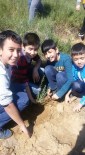 250 Öğrenci Ödemiş'te Fidanları Toprakla Buluşturdu