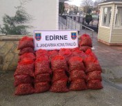 Enez'de Midye Operasyonları Devam Ediyor