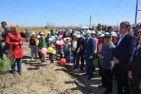 SÜLEYMAN YıLDıZ - Korkuteli'de Fidan Dikimi