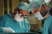 KEMİK AĞRILARI - Prof. Dr. Polat Açıklaması 'Paratiroit Ve Tiroit Hastalıkları Karıştırılıyor'