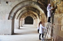 KERVANSARAY - Tarihi Sultanhanı'na Bayan Eli Değdi