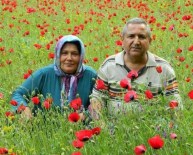 Anne Ve Babasını Öldürdüğünü Gözyaşları İçinde Anlattı