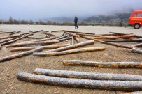 Devrilen Tır'dan Saçılan Tomruklar Yolu Kapattı