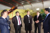Sivas İl Özel İdaresi'nden Çiftçilere Yem Desteği