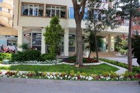 Aksaray'da Fidan Dikmeyene Bina Ruhsatı Yok