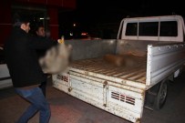 Bunu Yapanlar İnsan Olamaz!