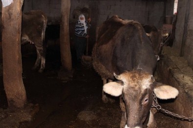 Kar Suları, Tarım Arazileri Ve Evleri Su Altında Bıraktı