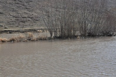 Kars'ta Tarım Arazileri Sular Altında Kaldı