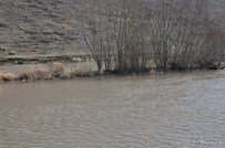 Kars'ta Tarım Arazileri Sular Altında Kaldı