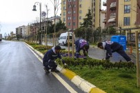 Maltepe'de Parklara Bahar Düzenlemesi