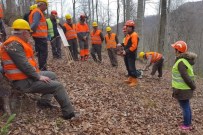 Ormanda Üretim Ve İş Güvenliği Tatbikatı Yapıldı
