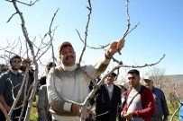 Siirt'te Tarımda Kurumlar Arası İşbirliği İle Daha Kaliteli Verim Elde Edilmesi Amaçlanıyor