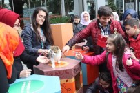 Üsküdarlı Gençlerden Sokak Kedilerine Rengarenk Yuvalar