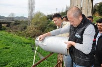 Beydağlı Süt Üreticileri, Sütlerini Küçükmenderes'e Döktü