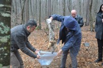 İNSANOĞLU - Hayvan Katliamına Tepkiler Dinmiyor