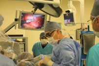 YUMURTALIK KANSERİ - Kadın Doğum Uzmanlarına Robotik Cerrahi Kursu