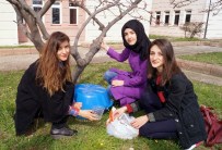 Ülkücülerden Sokak Hayvanları İçin Barınak