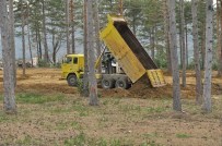 KENT ORMANI - Abana Kent Ormanında Çalışmalar Sürüyor