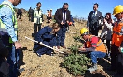 Kadın Vali, Kadınlarla Fidan Dikti