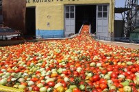 Kulaca'da 2016 Sezonu Başladı