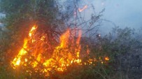 İŞ MAKİNASI - Manavgat'ta Ormanlık Alanda Çıkan Yangın Kontrol Altına Alındı