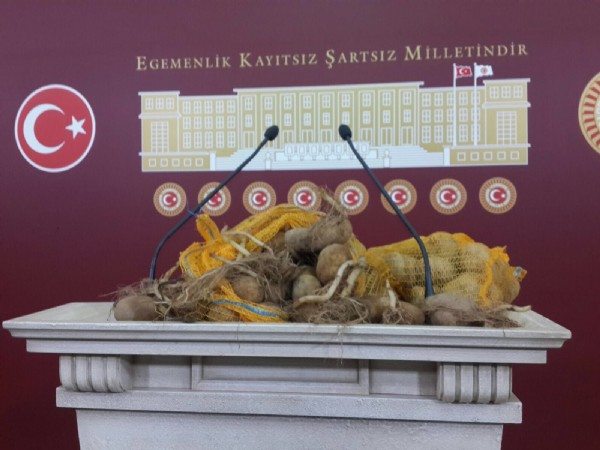 CHP'nin gündemi patates