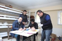 SANAT TARIHI - Ahlat Müze Müdürlüğü'nde Titiz Çalışma