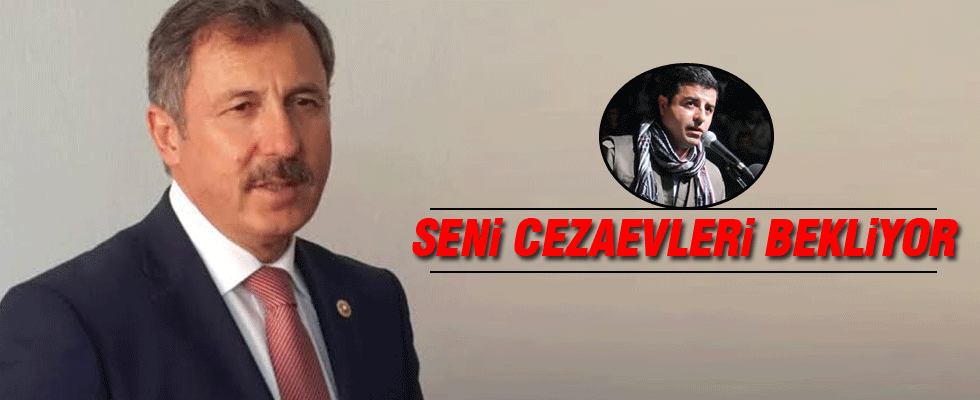 'Cezaevleri seni bekliyor Demirtaş'
