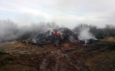 Tekirdağ'da 2 Bin Balya Saman Kül Oldu