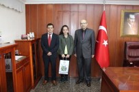 OSMAN NURİ CANATAN - TEOG'un Şampiyonlarından Kaymakam Canatan'a Ziyaret