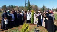 ŞİDDET MAĞDURU - Viranşehirli Kadınlar Okul Bahçesine Ağaç Dikti