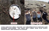 PLASTİK PATLAYICI - Bitlis'te Patlayıcı Madde İmha Edildi