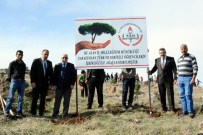 Ensar Ve Muhacir Öğrenciler Birlikte Ağaç Dikti