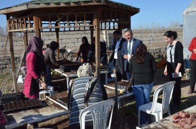 Iğdır Çiçeklerle Donatılacak
