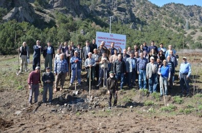 Osmancık'ta 110 Ceviz Fidanı Toprakla Buluştu