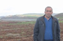 ORGANİK SEBZE - Siirt'in İkinci Büyük Serası Kuruluyor