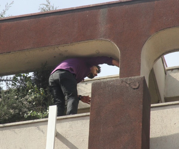 Film izler gibi seyrettiler