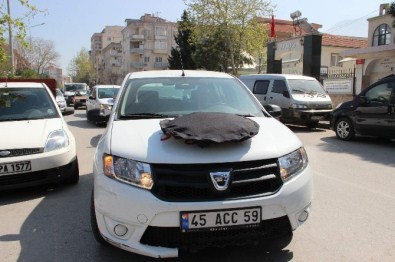 Beş Milyonluk Cezaya İlginç Tepki