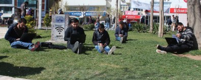 Bu Meydanda Her Şey Bedava