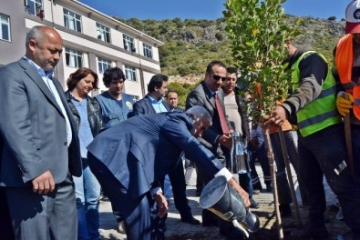 Demre'de Fidanlar Toprakla Buluştu