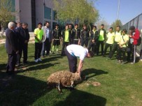 KAYSERI ERCIYESSPOR - Denizlispor 3 Puan İçin Kayseri'ye Gitti