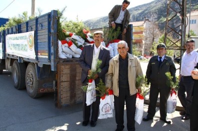 İnönü Şehitleri İçin 4 Bin Fidan Dağıtımı