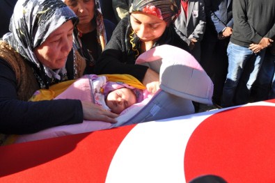 'İşte Baban' Diyerek Babasını Gösterdiler