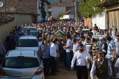 Köpek Cinayeti Sanığı Hakim Karşısında