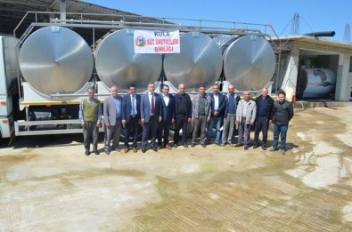 Kula'nın Sütleri Süt Tozuna Dönecek
