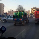 TEMİZLİK İŞÇİSİ - Milas'ta Temizlik İşçilerinin Nakil Şekli Tepki Çekti